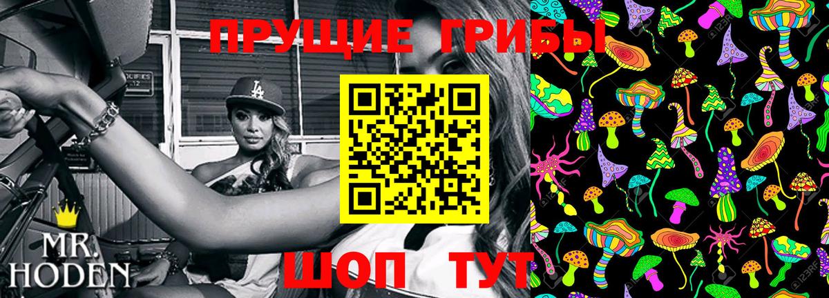 Гай  Галлюциногенные грибы Psilocybine cubensis  Вход с VPN  Псилоцибиновые грибы ЛСД 