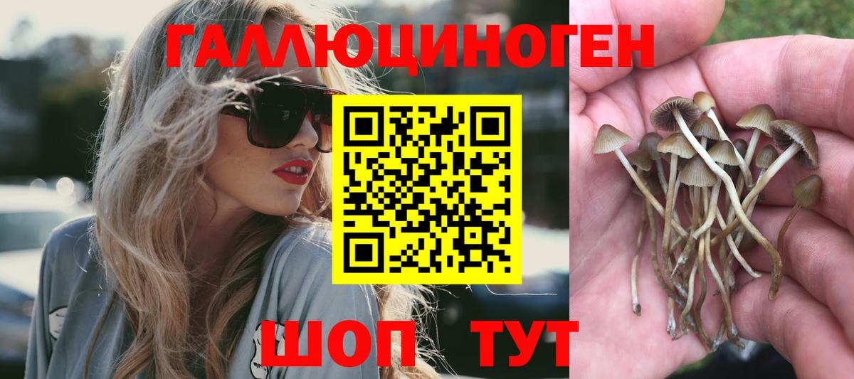 Галлюциногенные грибы Гай